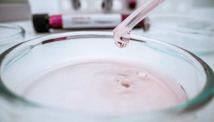 Autor: Ramon de Sousa Oliveira. © Voltemos ao Evangelho. Website: voltemosaoevangelho.com. Todos...