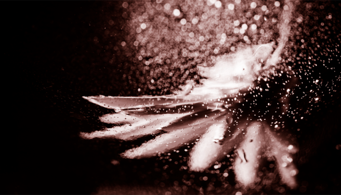 Por:Seth Porch ©️ Desiring God Foundation. Website: desiringGod.org. Traduzido com permissão....